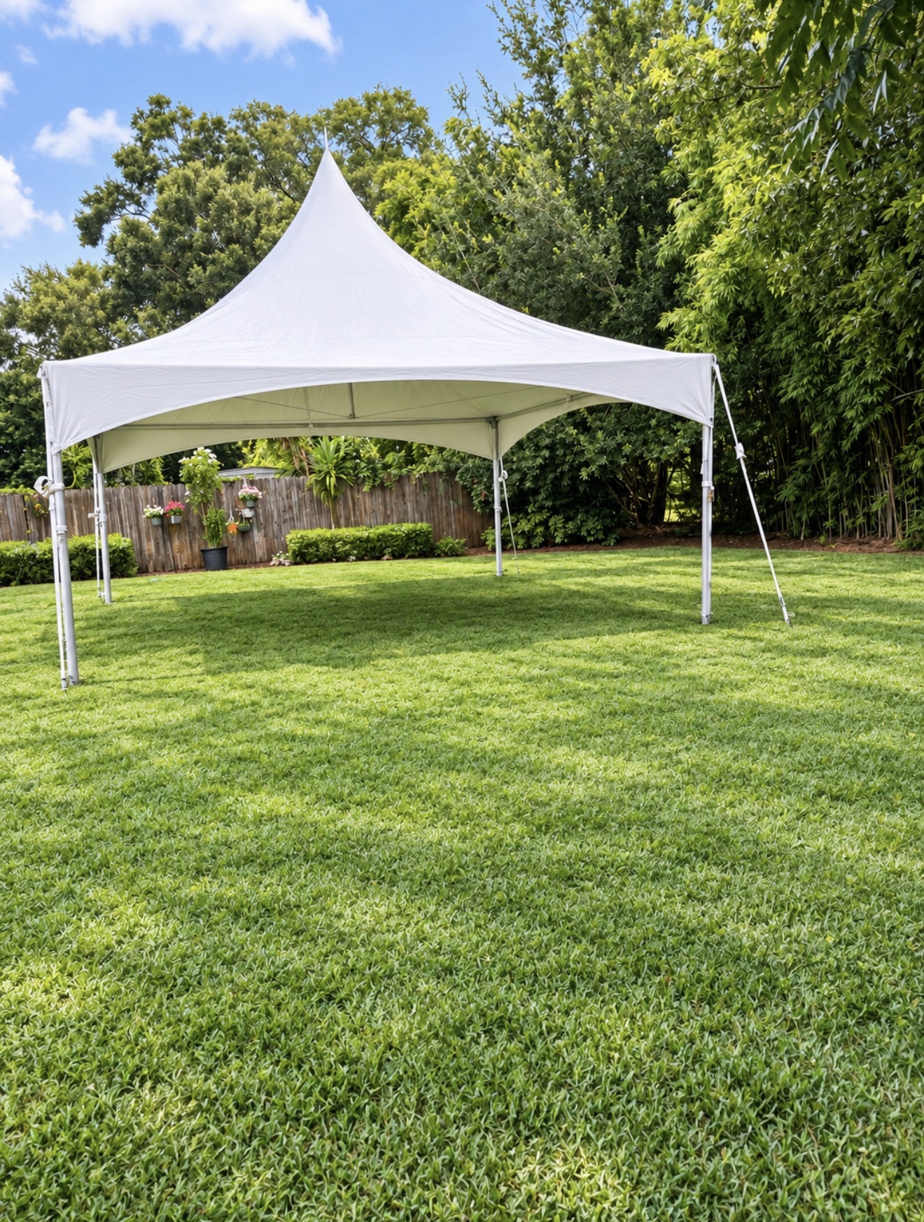20x20 high-peak tent on grass